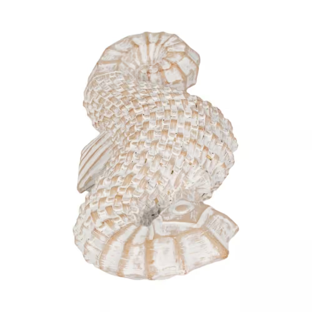 White 4 In. X 12 In. Resin Coastal Solid Wicker Seahorse Figurine